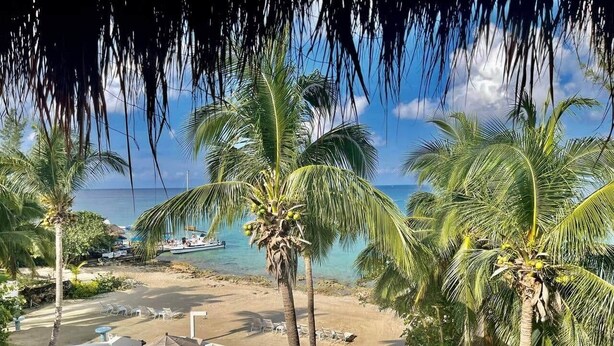 Blick auf einen Strand mit Palmen, Liegestühlen und einem Poolbereich.