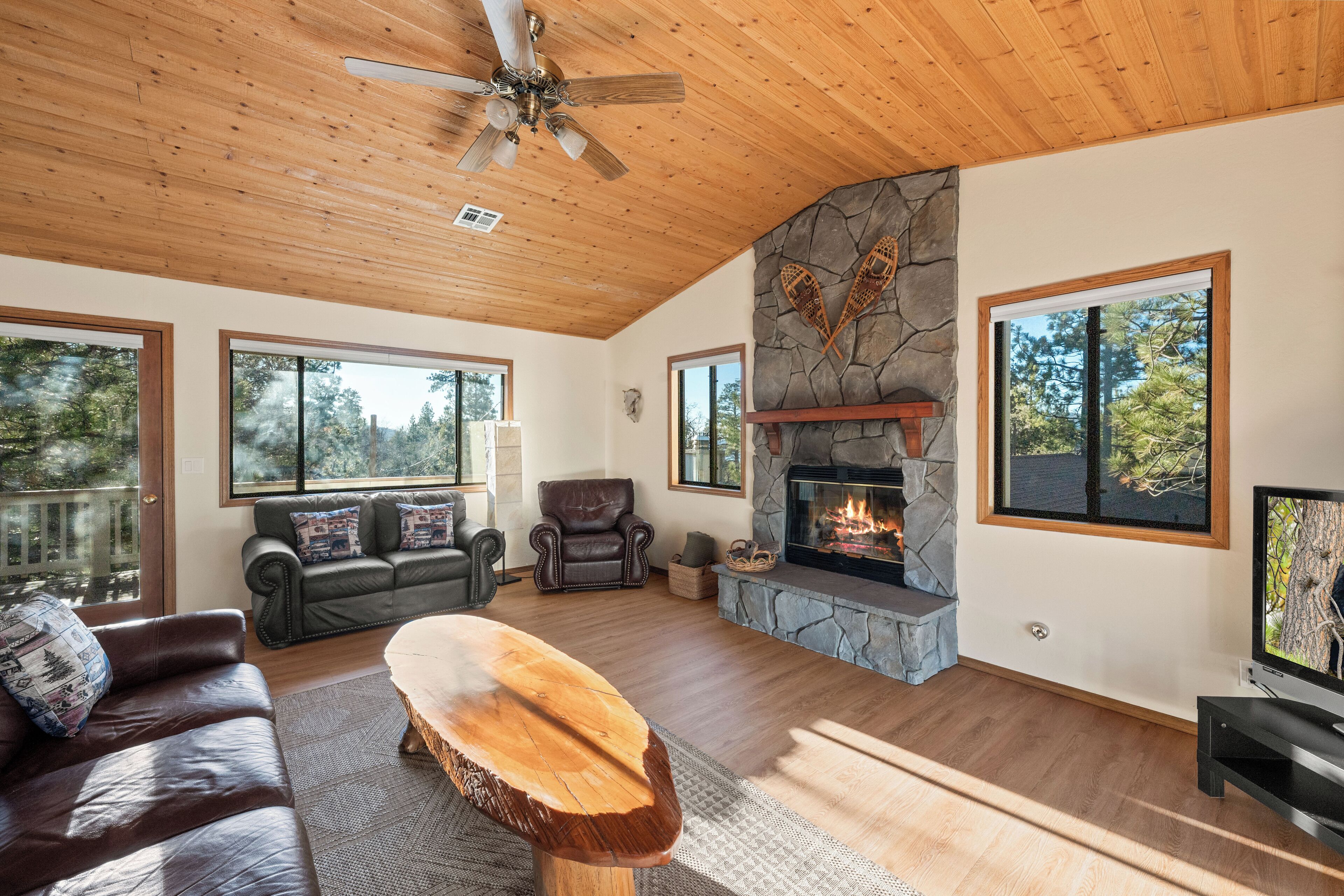 Basic Cabin | Living area