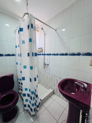 Une salle de bain avec une douche, des toilettes et un lavabo.