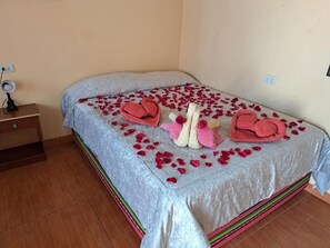 Habitación económica, patio, vista al patio | Escritorio, espacio para trabajar con laptop y wifi gratis 