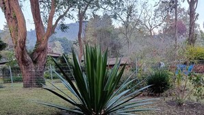 A garden with a large agave plant, a fenced area, and trees in the background. - Maceiras House (San Cristóbal de las Casas)