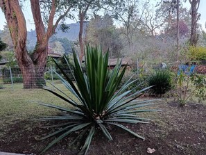 Uklassifisert bilde, 5 av 14, knapp