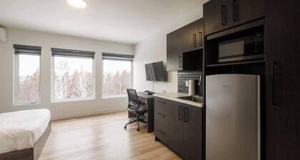 Studio Vue fleuve-210