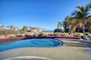 Immagine non classificata, 5 di 97, pulsante