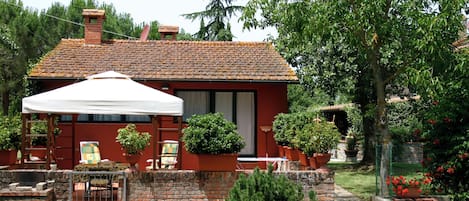 テラス / パティオ