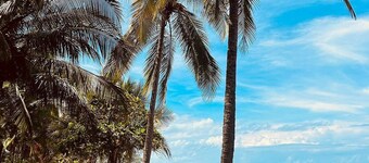 Private Ocean View Villa: Nature Retreat with Starlink and 4x4 Access