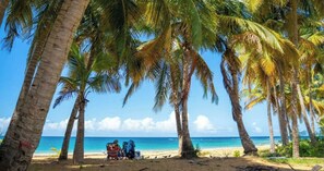 A beach with palm trees and a clear blue sky. - Blue Villa @Playa Azul Beach is a charming 1BR/1BA apartment in Luquillo. (Luquillo)