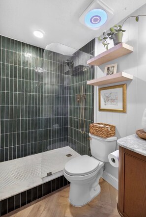 Hair dryer, towels, soap, toilet paper