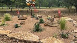 A landscaped garden with various plants and rocks.