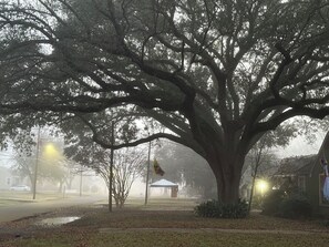 Billede uden beskrivelse, 3 af 7, knap