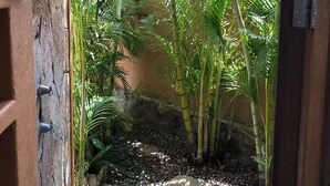 Un camino de piedra que conduce a un exuberante jardín con bambú y palmeras.