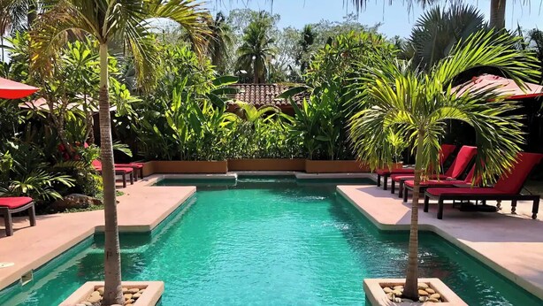 Una piscina rectangular con agua cristalina, rodeada de sillas reclinables rojas y palmeras.