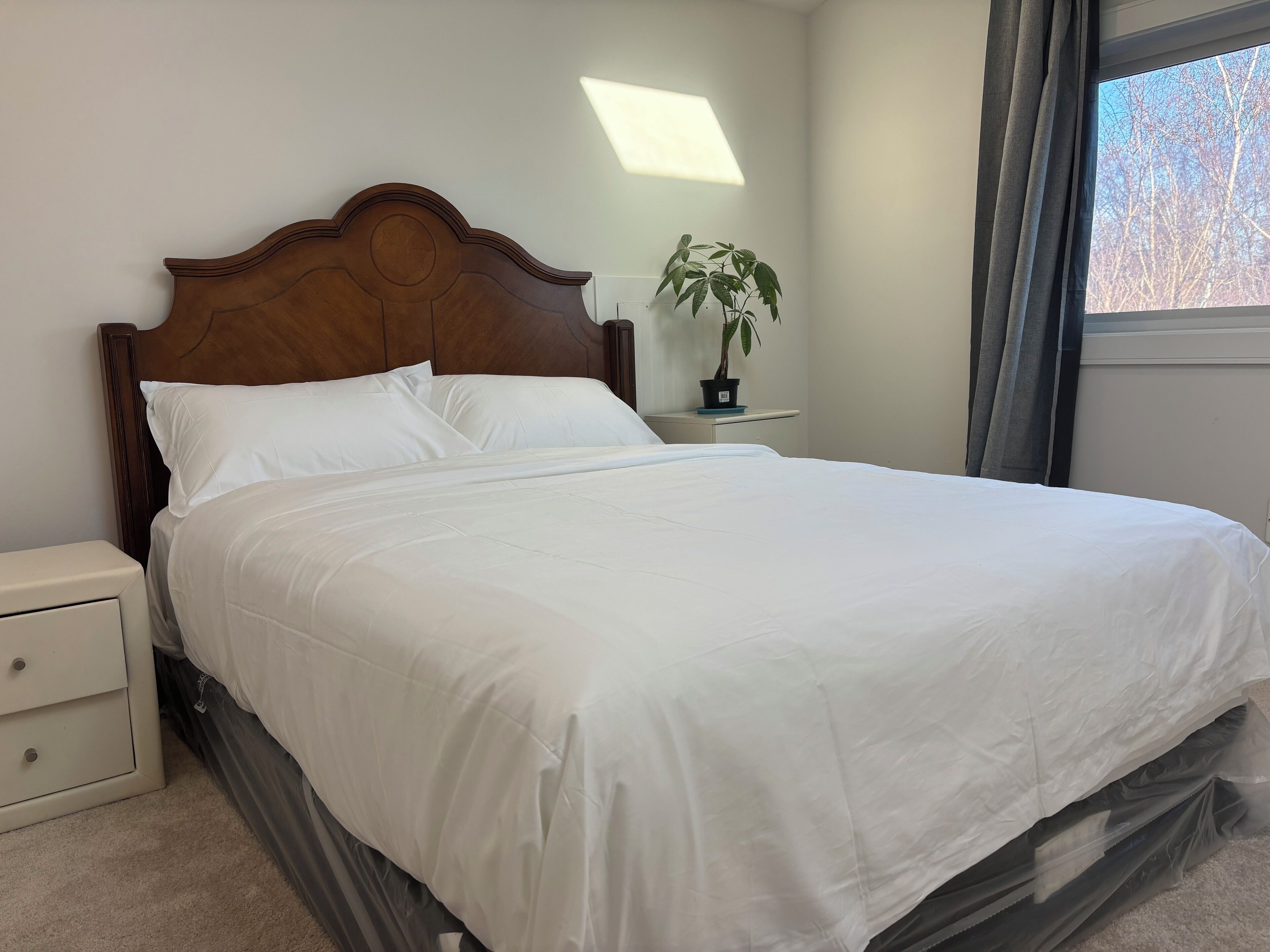 Phòng đôi phong cách cổ điển | Truy cập Internet không dây miễn phí 