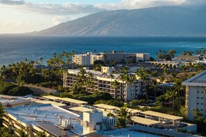 Billede uden beskrivelse, 4 af 40, knap