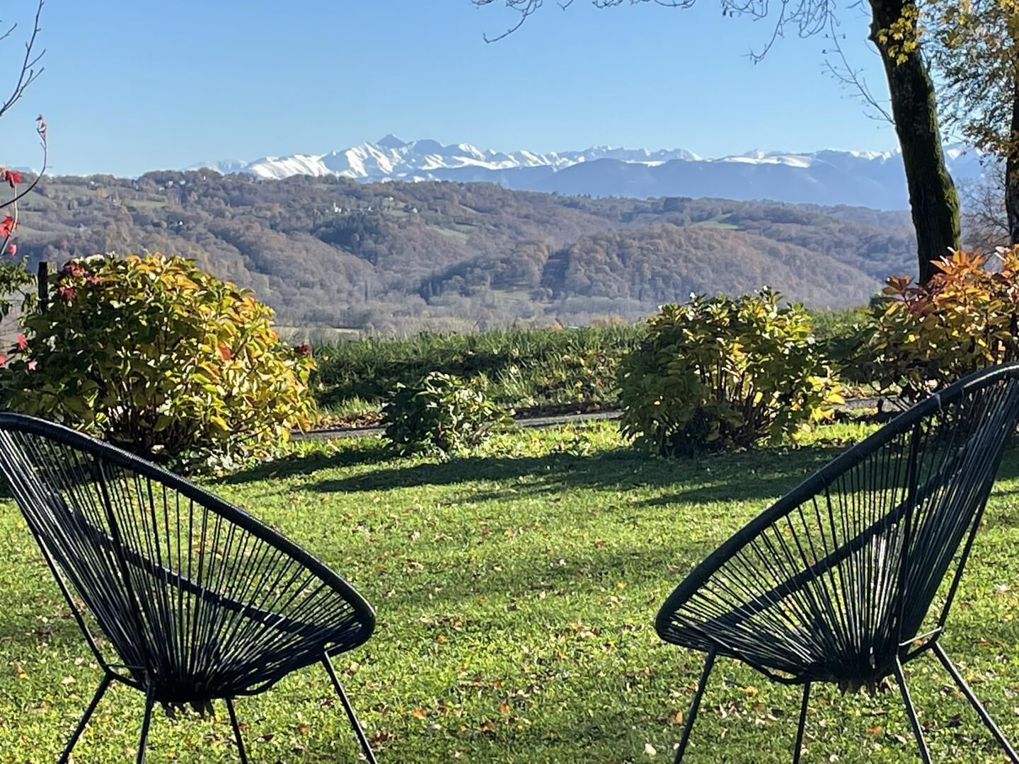 Jardines del alojamiento