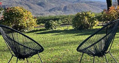 GITE DES VIGNES - MONEIN