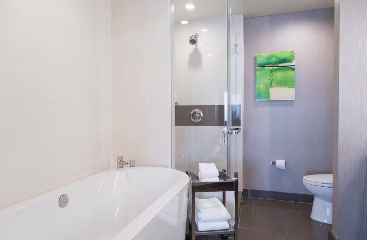 Hair dryer, towels, soap, toilet paper