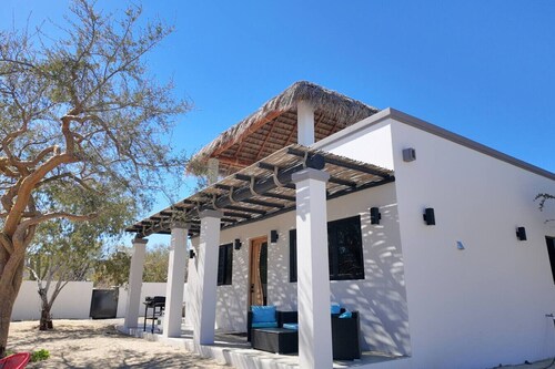 Beautiful modern house with a rustic palapa shade