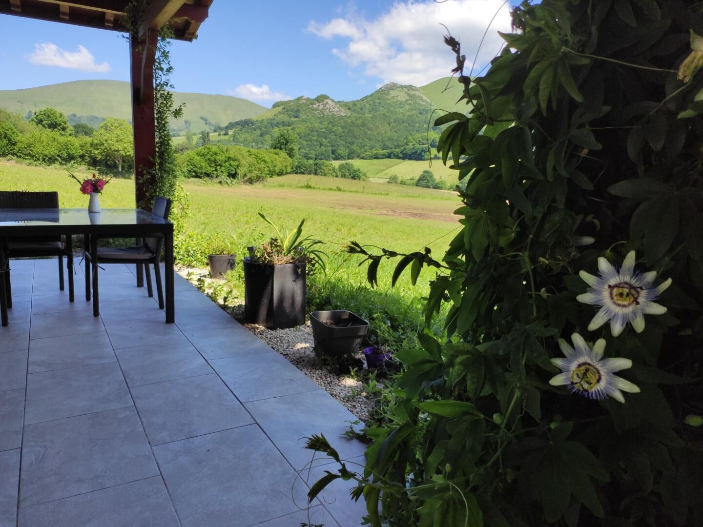 An outdoor patio with a table and chairs, surrounded by potted plants and a view of a green landscape with hills.