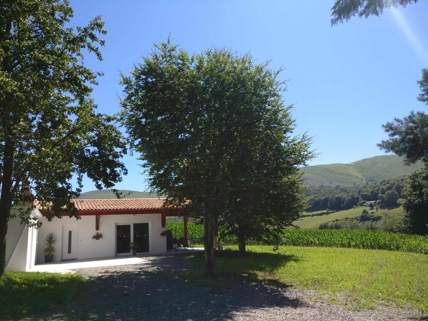 Una casa amb un teulat vermell, una entrada de grava i un arbre gran al davant.