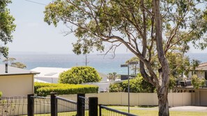 Property grounds - A Little Fish in Mollymook Beach (Mollymook)