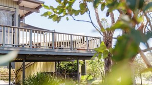 Property grounds - A Little Fish in Mollymook Beach (Mollymook)