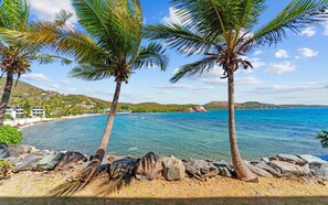 A beach with palm trees, clear blue water, and a rocky shoreline. - Oceanfront generator, walk to beach, pool, dining! (St. Thomas)