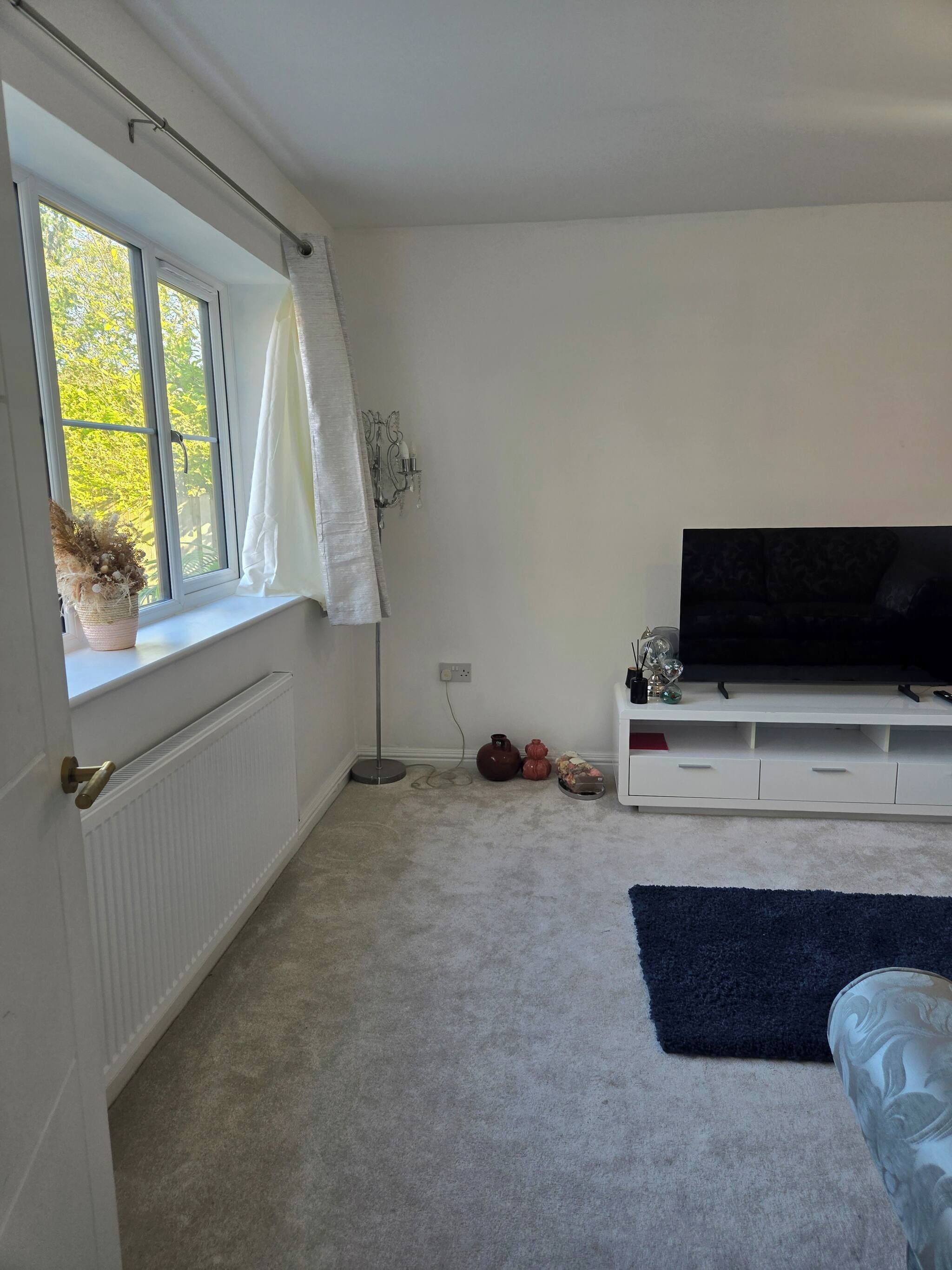 Una sala de estar con un ventanal grande, un radiador blanco, una lámpara de pie, un televisor sobre un mueble blanco y una alfombra azul oscuro.