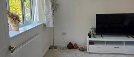 Una sala de estar con un ventanal grande, un radiador blanco, una lámpara de pie, un televisor sobre un mueble blanco y una alfombra azul oscuro.