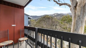 Property grounds - Bobuck 2B - Boutique Mountain Escape (Thredbo)
