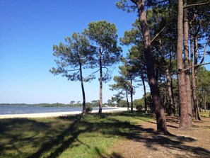 Playa