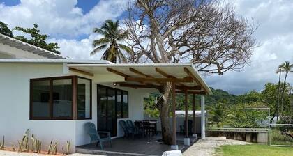 Lovely Caribbean Apartment with AC + Wifi + BBQ + Beach + Kitchen + Parking