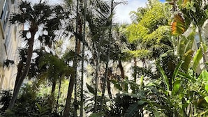 A courtyard with tall palm trees, dense foliage, and a paved walkway. - The Green Room - Serene Poolview Studio with Parking Spot and 24x7 Front Desk (Palm Beach)