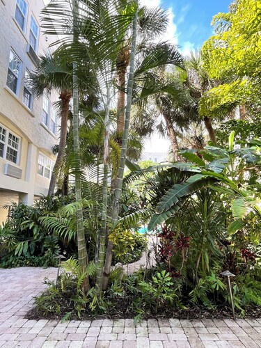 THE GREEN ROOM - Peaceful Poolside Studio, 24x7 Reception, and Parking Spot