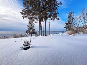 Unclassified image, 3 of 39, button