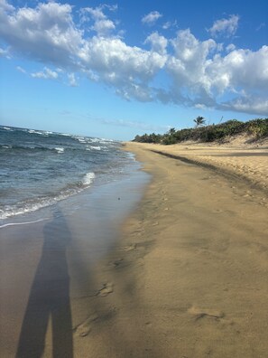Beach - Cozy 1-bedroom apartment in tranquil Isabela with AC (Isabela PR)