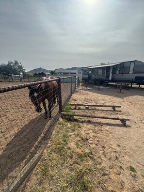 Botón de imagen sin clasificar, 4 de 8