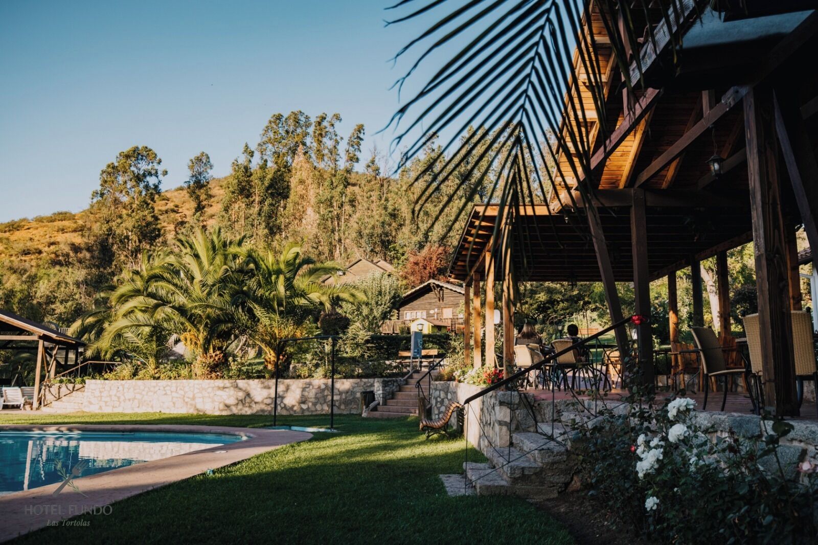 A pool area with a stone wall, palm trees, and a wooden pergola.