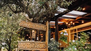 Une pancarte en bois sur laquelle sont inscrits les mots « Bienvenidos » et « Las Tortollas », suspendue à une branche d’arbre.