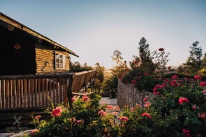 Property grounds - Hotel Fundo Las Tórtolas (Limache)