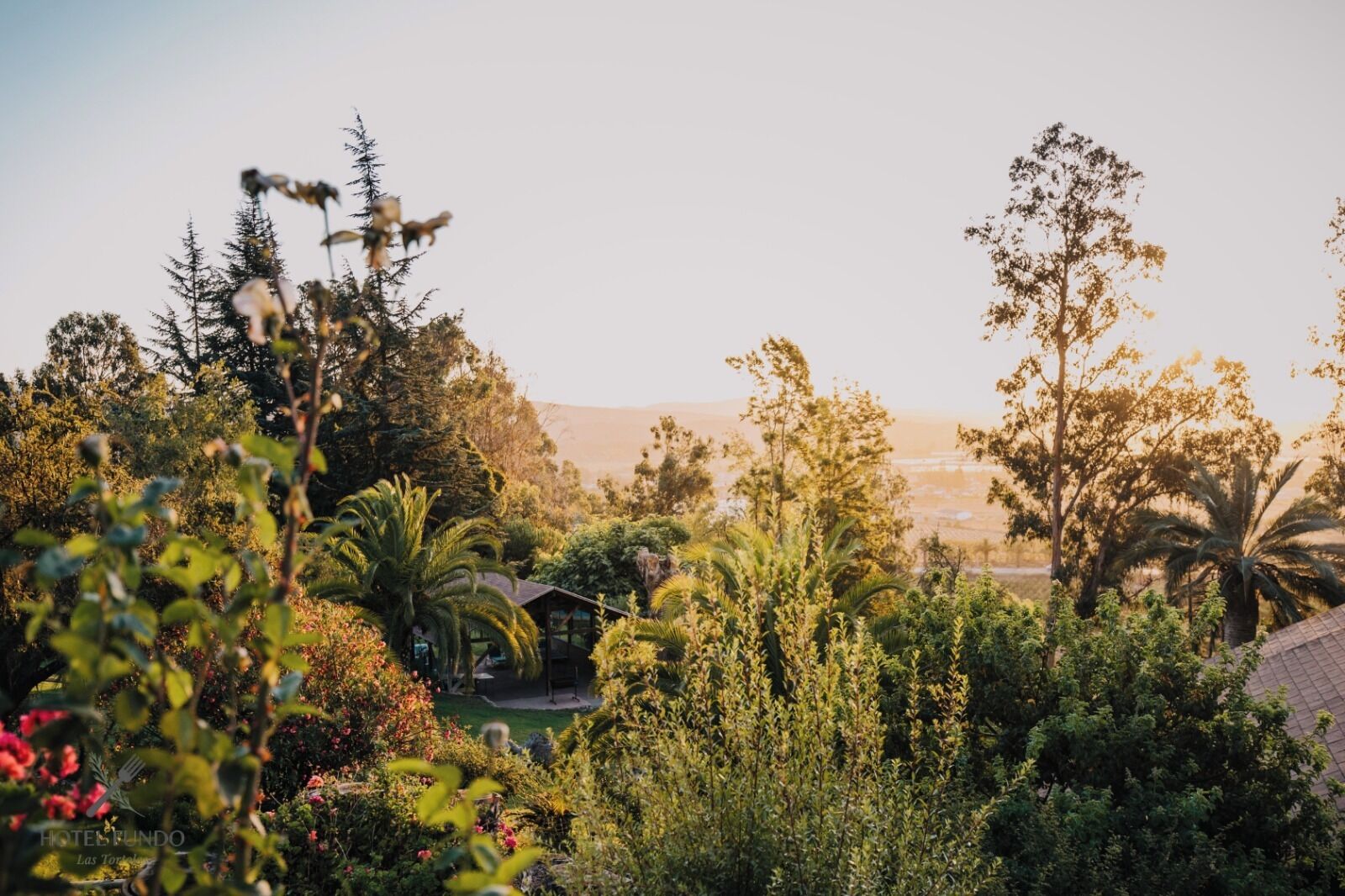 Un exuberante jardín con diversas plantas y árboles, un pequeño edificio y una vista distante de un paisaje urbano.