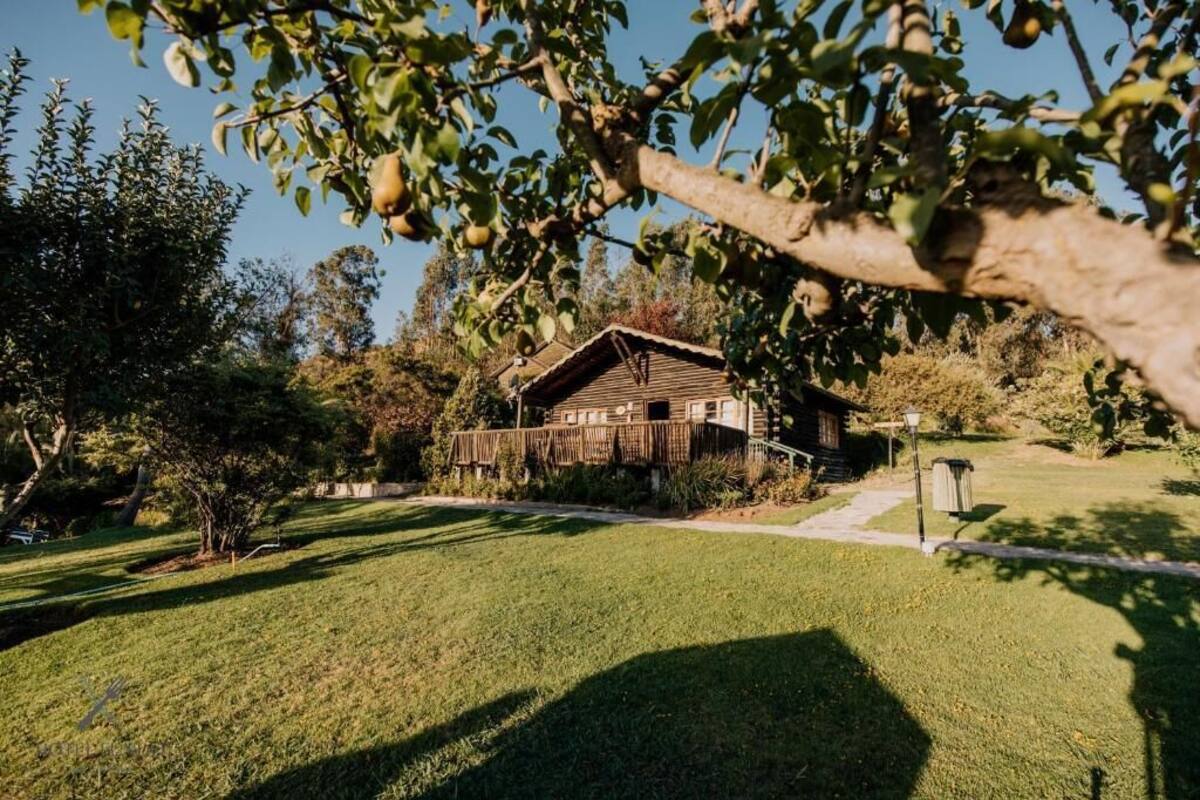 高级木屋, 阳台, 花园景观 | 外观