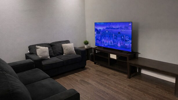 En moderne stue med en mørk sofa, et fladskærms-tv på et træstel og en lille potteplante.