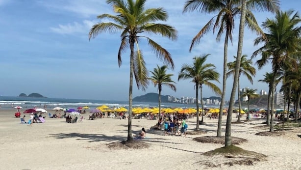 A beach with palm trees and umbrellas. - Beautiful and cozy duplex with private pool. (Guarujá)