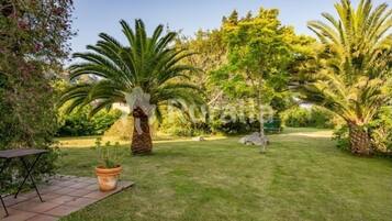 A well-maintained garden with palm trees, a patio area, and a lawn.