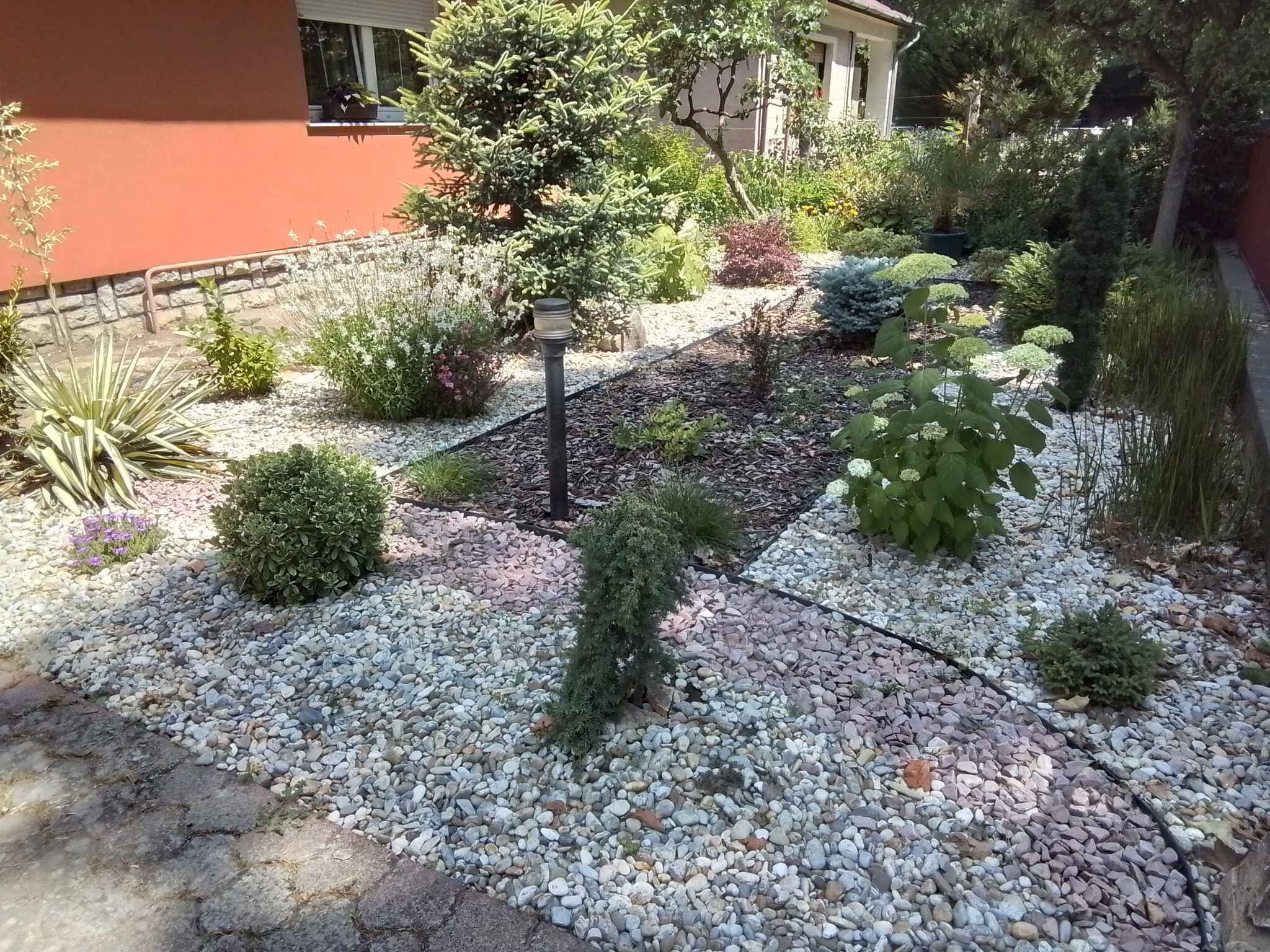 Un jardín con diversas plantas y un sendero.