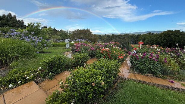 A garden with a variety of flowers and a rainbow in the sky.