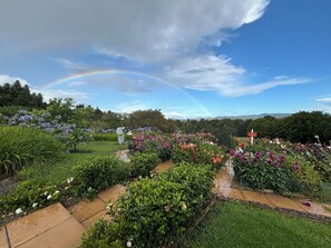 Un jardín con diversas flores y un arcoíris en el cielo.