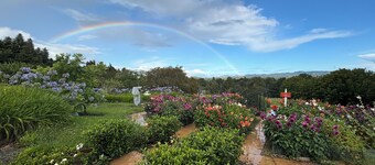 Peaceful Christian Retreat Cottage