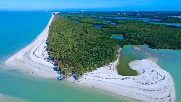 An aerial view of a coastal area with a long sandy beach, dense green forest, and clear blue waters. - Bonita Breeze | Prime Location | Screened Pool & Spa (Bonita Springs)